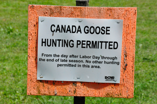 Canada Goose Hunting sign